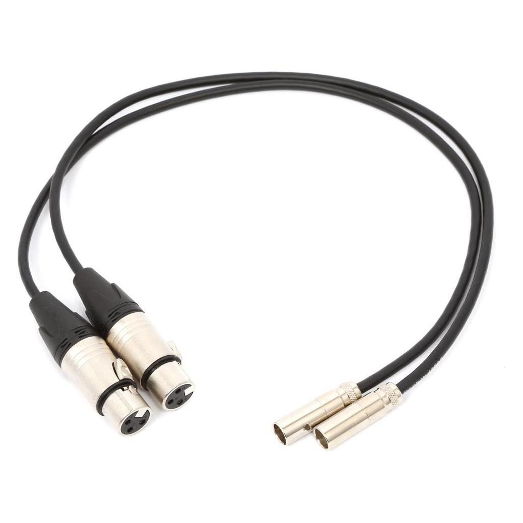Blackmagic MiniXLR (0.50 m, XLR Kabel) (BM-HYPERD/AXLRMINI2)
