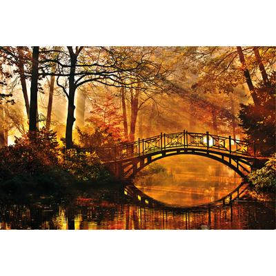 Fototapete PAPERMOON "Misty Park Bridge", bunt, B:5m L:2,8m, Vlies, Tapeten
