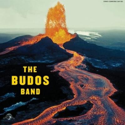 The Budos Band - The Budos Band, Vinyl