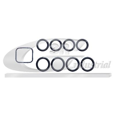 3RG Dichtungssatz, Ansaugkrümmer 86250 für Ford Peugeot Fiat