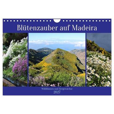 Blütenzauber auf Madeira. Wildblumen und Ziergewächse (Wandkalender 2027 DIN A4 quer), CALVENDO Monatskalender