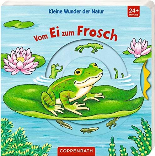 Kleine Wunder der Natur: Vom Ei zum Frosch - Preis vom 11.10.2026 03:10:56 h