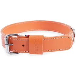 Martin Sellier 40/95 (One Size, Hund), Halsband + Leine