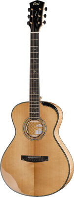 Cort Gold Passion Natur Hochglanz