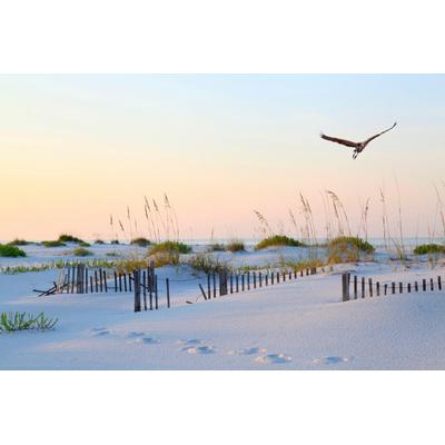 Fototapete PAPERMOON "Weißer Sand Florida Beach", bunt, B:4,5m L:2,8m, Vlies, Tapeten