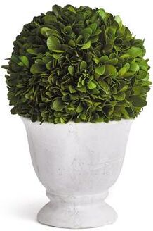 Porch & Petal Boxwood Ball Topiary In Pot Small - Green