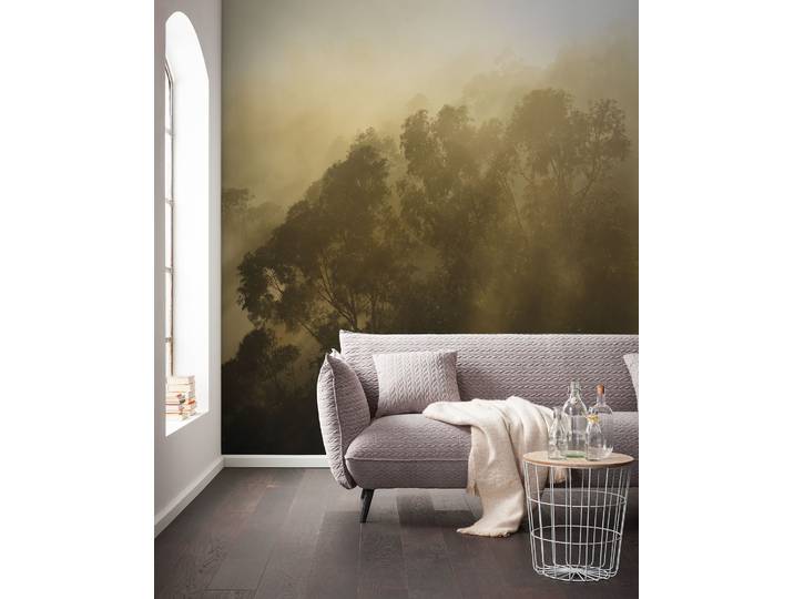Papier peint Foggy Sunshine 400 x 250 x 0cm