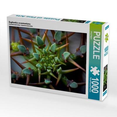 CALVENDO Puzzle Euphorbia avasmontana | 1000 Teile Lege-Größe 64x48cm Foto-Puzzle für glückliche Stunden