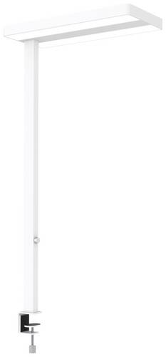 Maul MAULjaval 8258302 LED-Tischlampe LED Lichtquelle durch Elektrofachkraft austauschbar 64W Weiß
