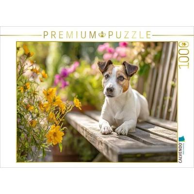 CALVENDO Puzzle Ein Platz an der Sonne | 1000 Teile Lege-Größe 64x48cm Foto-Puzzle für glückliche Stunden