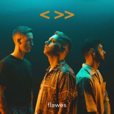 One Step Back,Two Steps Forward - Flawes, Vinyl