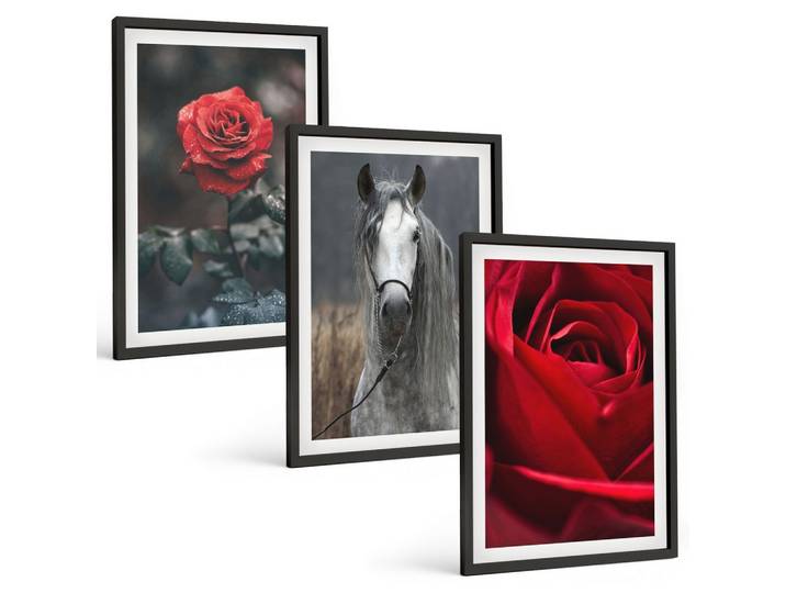 BILDER SET 3er Set - 40x60 cm Schwarzer Rahmen - Rote Rosen, Pferdegrau, Welt