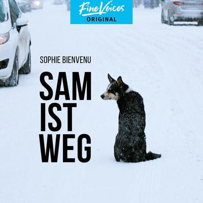 Sam ist weg - Sophie Bienvenu, Audio, 4251703582805