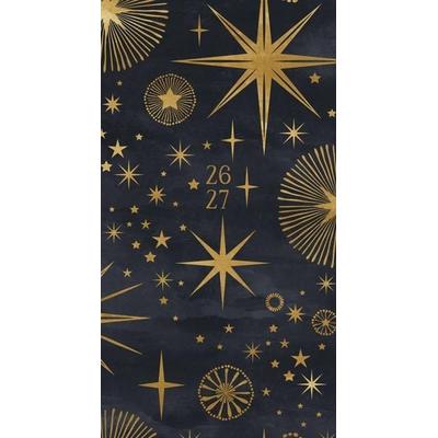 Celestial 2-Year 2026-27 3.5 X 6.5 Monthly Pocket Planner