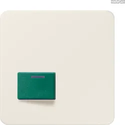 Jung Abdeckung für Fabrikat Ackermann 642 C