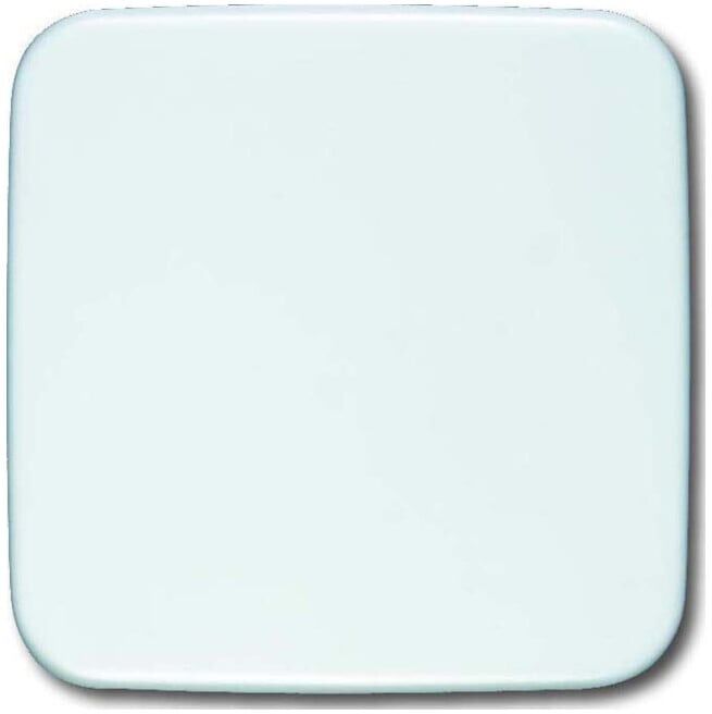 Busch-Jaeger Blindzentralscheibe aws 54x54mm 1576 C-214 (2CKA001582A0354)
