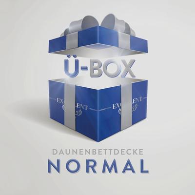 Daunenbettdecke EXCELLENT "Überraschungsbox", bunt, B:200cm L:200cm, Bezug: 100% Baumwolle. Füllung: 90% Daunen, 10% Federn, Bettdecken, absoluter Sonderpreis, wegen Lagerräumung, Solange der Vorrat reicht