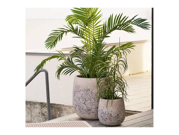 Deko Pflanze Kjellora - für den Garten - Grün - Luxusbetten24