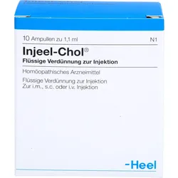 Injeel Chol 10 ST