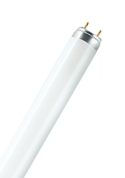 OSRAM LAMPE OSRAM LUMILUX T8 L 58 W/865 6500 K, 58 W, 865, 1500 mm
