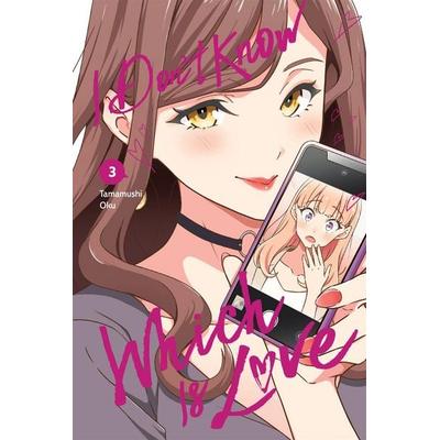 I Don't Know Which Is Love, Vol. 3, Taschenbuch von Elena Pizarro Lanzas,Leighann Harvey,Tamamushi Oku, Workman