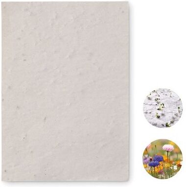 Papier A6 Personnalisé aux Graines de Fleurs - ASIDO papier recyclé blanc