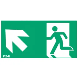 Ceag Notlichtsysteme Piktogramm LUM10975