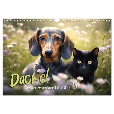 Dackel - tierische Freundschaften mit Herz (Wandkalender 2027 DIN A4 quer), CALVENDO Monatskalender