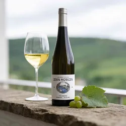 Weingut in den Zehn Morgen  2020 Weingut in den Zehn Morgen Steinberg Monopol Riesling 2020 Riesling Deutschland