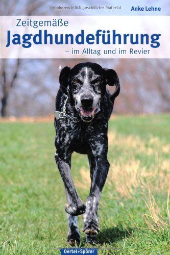 Anke Lehne - Zeitgemäße Jagdhundeführung: Im Alltag und im Revier - Preis vom 09.10.2026 07:28:09 h