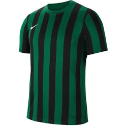 Nike, Unisex, Sportshirt, Division Iv Striped Trikot Kids, Grün