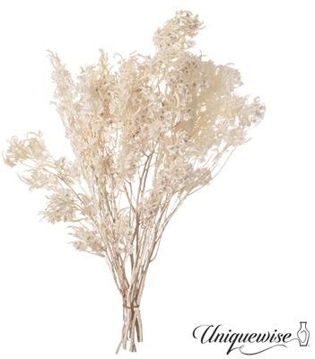 Uniquewise Preserved Real Floral Stems Chic Vase Fillers & Accents for Bouquets Centerpieces & Ornamental Displays