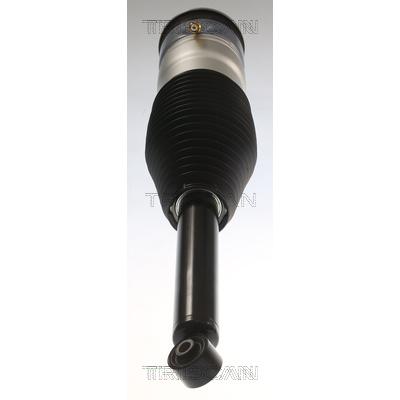 TRISCAN Luftfeder, Fahrwerk 872081201 für Tesla