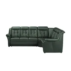 Polstermöbel Oelsa Komfort-Ecksofa aus Leder  Andorra , grün , Maße (cm): B: 272 H: 99 T: 238.0