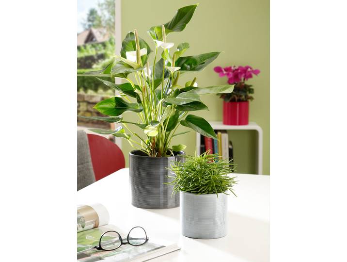 Cache-pot 28/828 Ø 25cm Gris/Gris