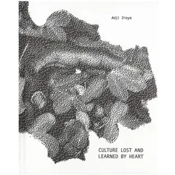 Adji Dieye. Culture Lost and Learned by Heart, Fachbücher von Kathrin Schönegg, C O Berlin Foundation, Emmanuel Iduma