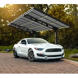 Palram - Canopia Aluminium Carport Sydney | Carport freistehend | Schwarz | 286x587x288 cm - Anthrazit