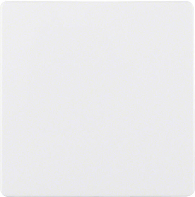 Berker Plaque centrale pws pour insert capteur 75940409 (75940409)
