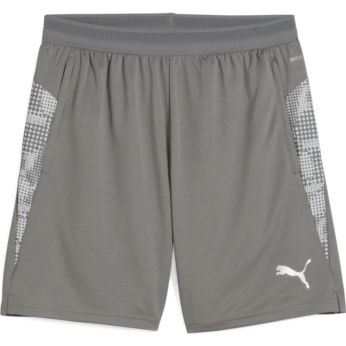Puma Teamcup Training Shorts flat medium gray-puma silver-flat light gray (13) S 659171-13-S