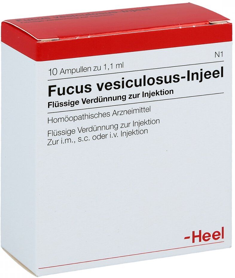 Fucus Vesiculosus Injeel Ampullen