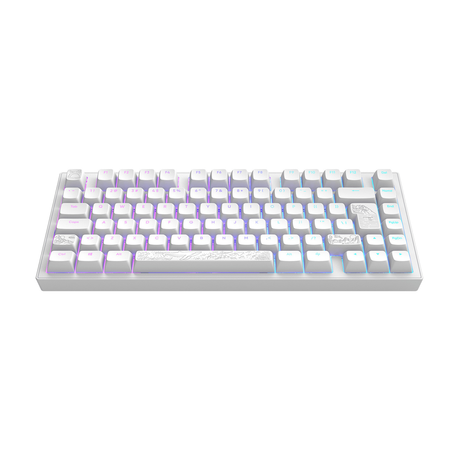 Dark Project DPKB_NOSTRA_81_ISO_WHITE Mechanisch toetsenbord, USB, QWERTZ, RGB-LED, Wit