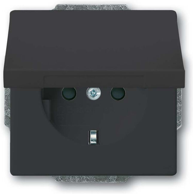 Busch-Jaeger Prise SCHUKO anthracite 20 EUKB-81 (2CKA002018A1517)