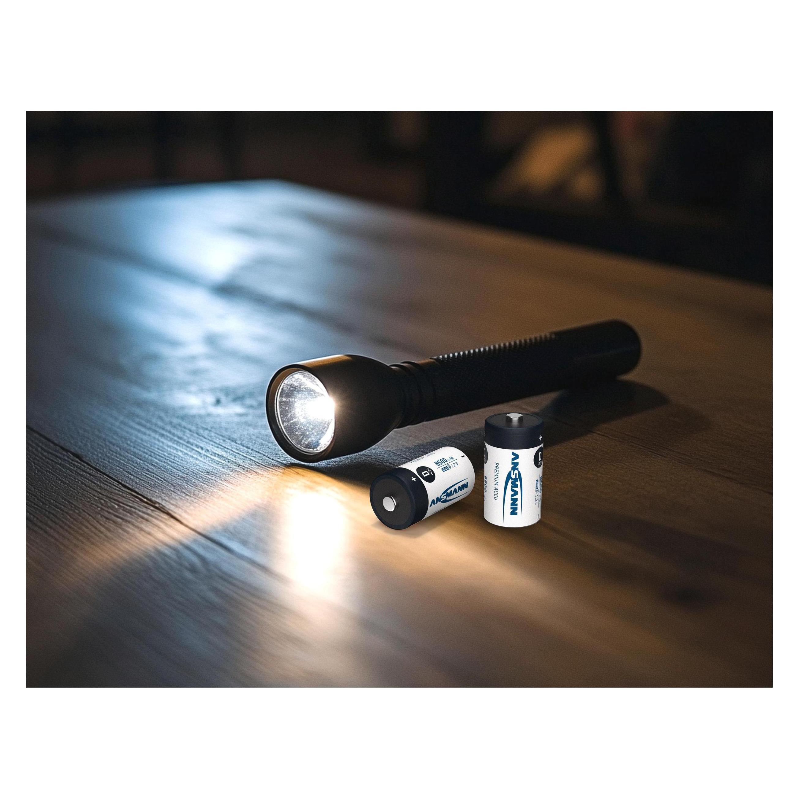 Ansmann HR20 Max E (2 Stk., D, 8500 mAh) (5.0353.62)