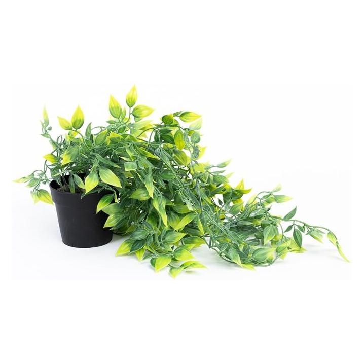 Domoletti Kunstpflanze (95 cm) (56660232)