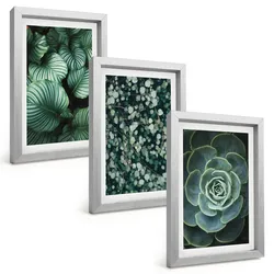 BILDER SET 3er Set - 20x30 cm Silberner Rahmen - Sukkulenten im Stil grüner Blätter