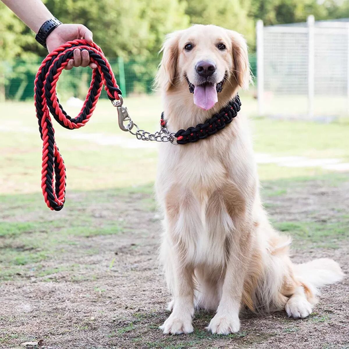 INF Laisse Tressée Robuste pour Grands Chiens - Corde de Promenade en Nylon avec Collier Chaîne P M Noir rouge