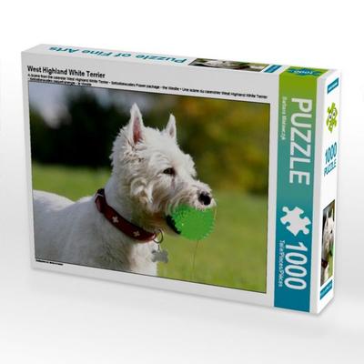 CALVENDO Puzzle West Highland White Terrier | 1000 Teile Lege-Größe 64x48cm Foto-Puzzle für glückliche Stunden