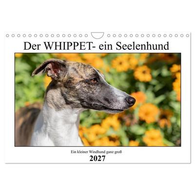 Der Whippet - ein Seelenhund (Wandkalender 2027 DIN A4 quer), CALVENDO Monatskalender