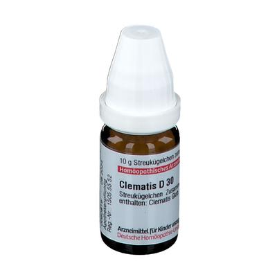 Clematis D 30 Globuli 10 g