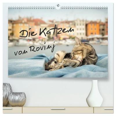 Die Katzen von Rovinj (hochwertiger Premium Wandkalender 2027 DIN A2 quer), Kunstdruck in Hochglanz